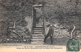 Thème   Gardes Ou Tambours De Ville. Le Château D'Hardelot 62   Et Son Garde.Lierre Sur Le Mur Des Remparts  (voir Scan) - Other & Unclassified