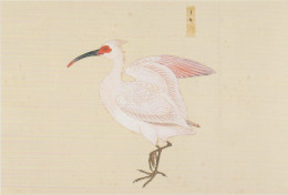 AKJP Japan Postcards Showing Paintings - Birds - Crested Ibis - Sparrow - Rufous-bellied Thrush - Collections & Lots