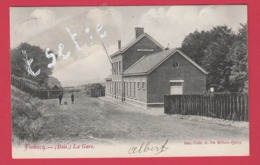 Flobecq / Vloesberg ( Bois ) - La Gare -1906 ( Voir Verso ) - Flobecq - Vlösberg