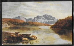 REPRODUCTION ECOSSE - Loch Fad, Illustration - Bute