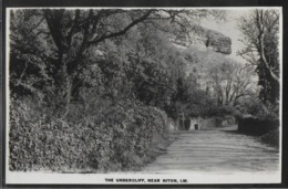 CPA ANGLETERRE - Niton, The Undercliff Near Niton - Sonstige & Ohne Zuordnung