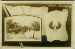 SOUTH AUSTRALIA - FLORA FALLS ON THE ROAD TO VICTORIA RIVER - NORTHERN TERRITORY + FLAG - 1910s (BG4554) - Sin Clasificación