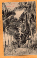 Dominica BWI 1908 Postcard - Dominique