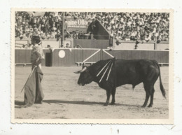 Cp , Corrida ,  Toros Y Toreros ,JULIO APARICIO ,unadorno ,  Une Fioriture ,  Vierge - Corridas