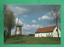 Belgique Markedaal Molen Ten Hengst - Maarkedal