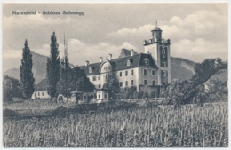 Maienfeld - Schloss Salenegg - Maienfeld