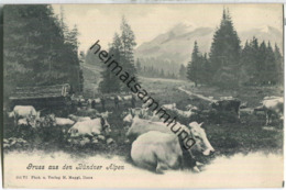 Gruss Aus Den Bündner Alpen - Kühe - Verlag Phot. M. Maggi Ilanz 20er Jahre - Ilanz/Glion