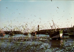 ! [17] CPM, Oleron, Le Port, Hafen, Harbour, 1982, Frankreich, Fischerboot. Fishing Boat - Ile D'Oléron