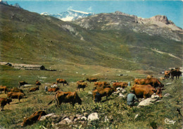 Animaux - Vaches - Les Alpes Françaises - A L'heure De La Traite - Semi Moderne Grand Format - état - Vaches