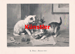 1347 Reichert  Katzen Katze Blumen Kunstblatt 1897 !! - Prints & Engravings