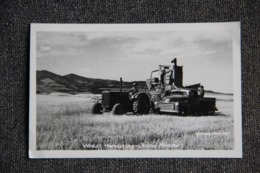 MONTANA Central - WHEAT HARVESTING - Other & Unclassified