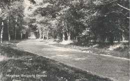 Ommen, Weg Naar Bergzicht - Ommen