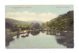 4504 GEORGSMARIENHÜTTE, Blick Von Der Terrasse, 1910 - Georgsmarienhütte