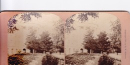 1892 / KILBURN 4717  / WASHINGTON / WHITE HOUSE / THE FLOWER GARDEN - Photos Stéréoscopiques