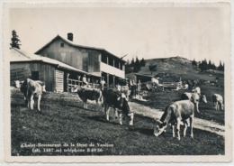 Chalet-Restaurant De La Dent De Vaulion - Teléphone 8 49 36 - Vaulion