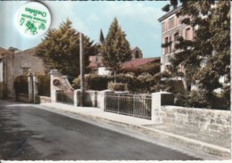 79 - Très Belle Carte Postale Semi Moderne Dentelée De CHIZE  Les Ponts Sur La Boutonne - Otros & Sin Clasificación