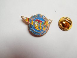 Beau Pin's , C.E.P. , Centre Ecole De Parachutisme De Grenoble , Isére - Parachutisme