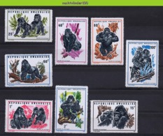 Nff118 FAUNA MENSAAP APEN ZOOGDIEREN GORILLA PRIMATE MONKEYS MAMMALS APES AFFEN SINGES RWANDA 1970 PF/MNH - Gorilas