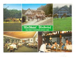 5232 FLAMMERSFELD-HORHAUSEN-OBERSTEINEBACH, "Waldhotel Heiderhof" - Altenkirchen