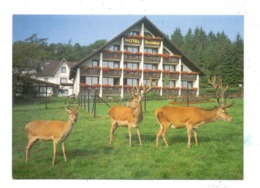 5232 FLAMMERSFELD-HORHAUSEN-OBERSTEINEBACH, "Waldhotel Heiderhof" - Altenkirchen