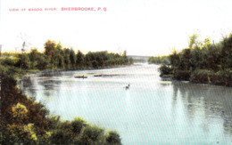 Sherbrooke Québec - Rivière Magog River - By E.P. Charlton No. 829 - Unused - 2 Scans - Sherbrooke