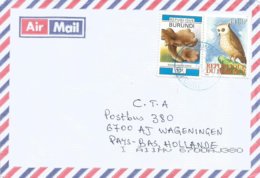 Delcampe - Burundi 2010 Bujumbura Owl Bird Of Prey 1100f Russula Mushrooms 10f Cover - Eulenvögel
