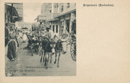 Barbados Brigetown  Pioneer . Hamburg Amerika Line . Undivided Back . Donkey Cart . Attelage Ane - Barbades