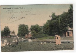 Willebroek -Willebroeck - Zicht In 't Park 1906 - Willebrök