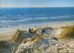 Netherlands - Postcard Used 1960  - Katwijk Aan Zee - Dune - 2/scans - Katwijk (aan Zee)