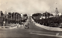 MAROC RABAT L'Avenue De La Victoire - Rabat