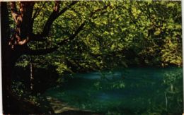 CPA AK Blaubeuren Blautopf GERMANY (897435) - Blaubeuren