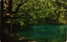 CPA AK Blaubeuren Blautopf GERMANY (897442) - Blaubeuren