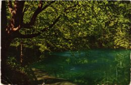 CPA AK Blaubeuren Blautopf GERMANY (897463) - Blaubeuren