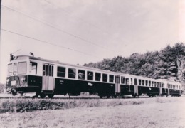 Chemin De Fer, Lausanne Echallens Bercher, Train Bt52+51+BDe 4/4, LEB 55.906, 10x15 - Bercher