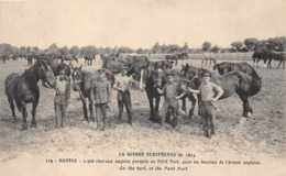 44-NANTES- GUERRE 1914-1500 CHEVAUX ANGLAIS PARQUES AU PETIT -PORT POUR LES BESSOINS DE L'ARMEE ANGLAISE - Nantes