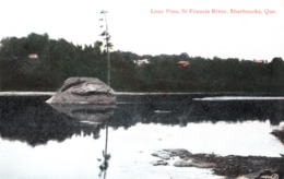 Sherbrooke Québec - Lone Pine - Pin Solitaire - Saint-François - St. Francis River - W.H. Griffith - Written - 2 Scans - Sherbrooke