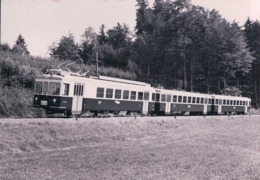 Chemin De Fer, Lausanne Echallens Bercher, Train à Fey, Photo 1967 LEB 55.905, 10x15 - Bercher