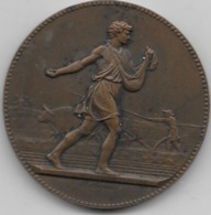 Médaille - Comice Agricole De Soissons - Bronze - Andere & Zonder Classificatie