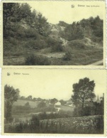 Gistoux. Panorama Et Dans Les Bruyères. Lot De 2 Cartes. - Chaumont-Gistoux