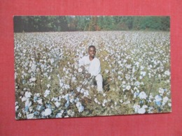> Black Americana  Cotton Being Harvested   -ref 3667 - Black Americana