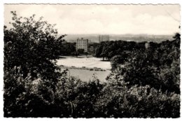 FOREST - Le Parc. Grande Plaine De Jeux Et Panorama - Vorst - Forest