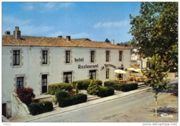 Carte Postale 79. Mauléon  Hotel-Restaurant "La Terrasse"  Mr.  D.Durand  Chef De Cuisine Trés Beau Plan - Mauleon