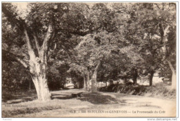 74. Saint Julien En Genevois. La Promenade Du Cret - Saint-Julien-en-Genevois