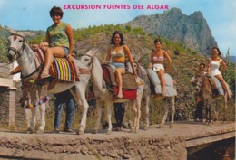 Delcampe - ESPAGNE - ALICANTE - EXCURSION FONTAINE DE L'ALGAR - CALLOSA DE ENSARRIA  A DOS D'ANE - Alicante