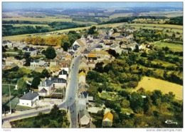 Carte Postale 89. Egriselles-le-Bocage  Vue D'avion   Trés Beau Plan - Egriselles Le Bocage