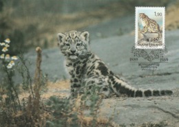 FINLAND 1989 Centenary Of Helsinki / Helsingfors Zoo: Maximum Card CANCELLED - Cartoline Maximum