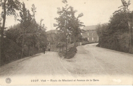 VISE  ---   Route De Mouland Et Avenue De La Gare - Visé