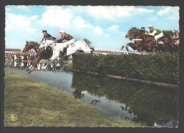 Waregem - Paardewedrennen - Sprong Over De Beek - Jumping - Waregem