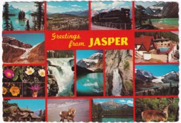 Greetings From Jasper  - (Canada) - Steamlocomotive, Swimming-pool - Jasper