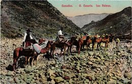 CPA Espagne LAS PALMAS DE GRAN CANARIA - Camellos (304785) - La Palma